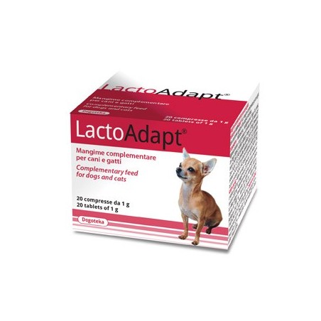 LactoAdapt (20 comprimés de 1g)