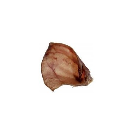 Oreille de porc séchée (1 pièce)