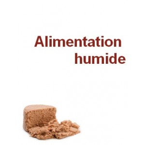 Alimentation humide