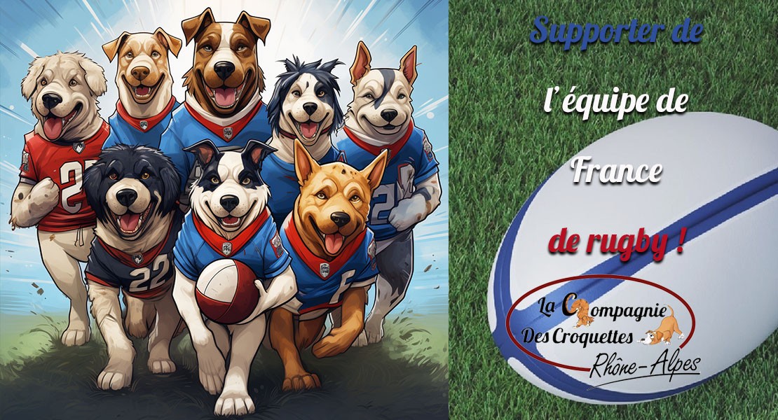 Supporter l'équipe de France de rugby